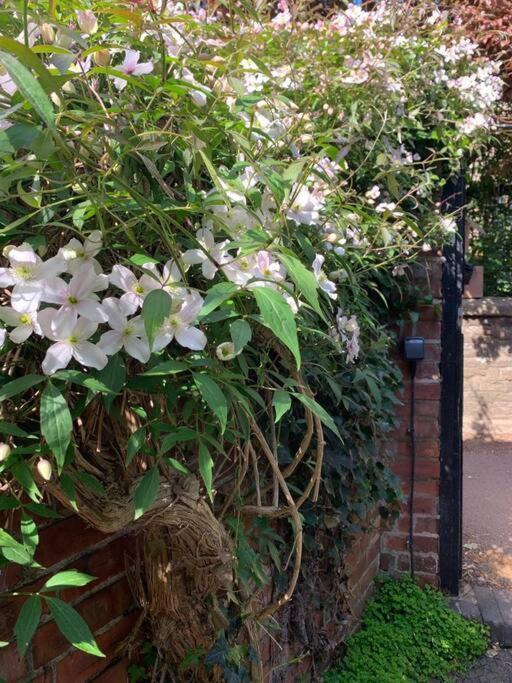 Beautiful Georgian Within A Private Walled Garden